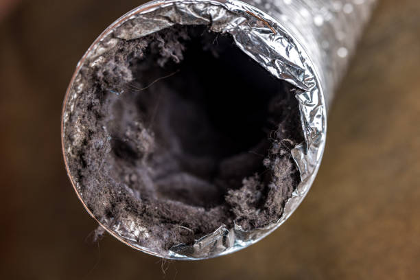 Best Duct Cleaning for Homes  in , MD